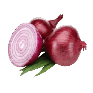 39 removebg preview 430x430