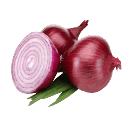 39 removebg preview 430x430