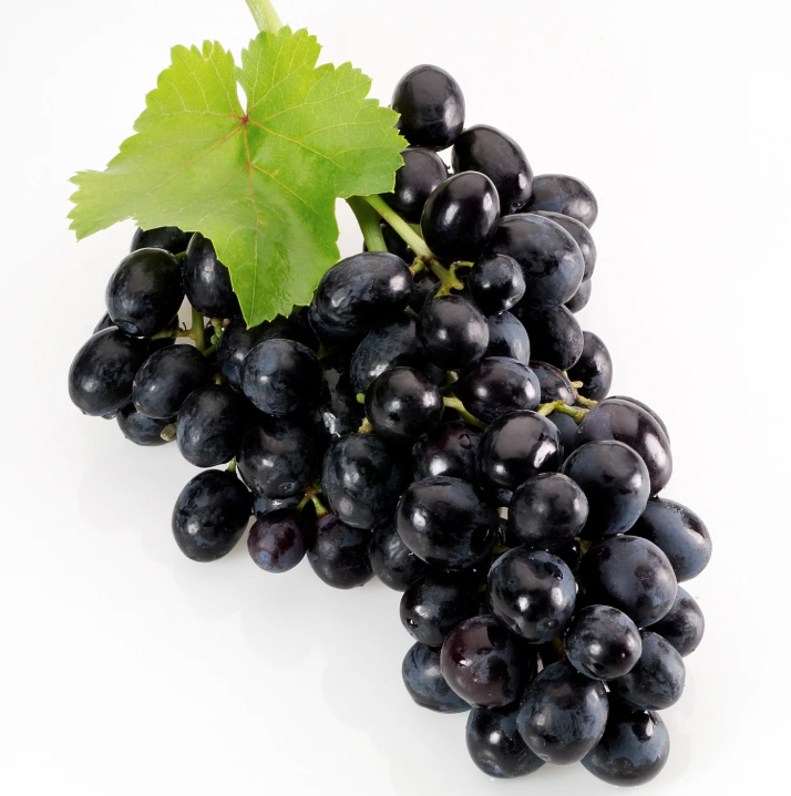 screenshot 2026 03 16 124611